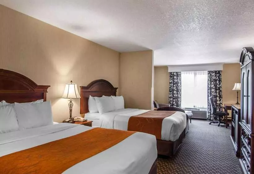 Отель Comfort Suites