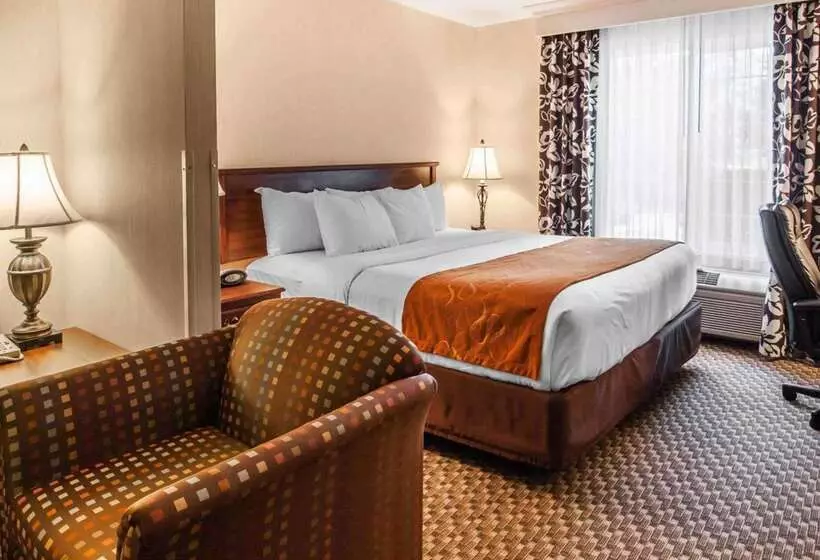 Отель Comfort Suites