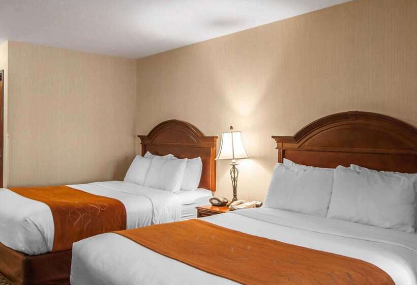 فندق Comfort Suites