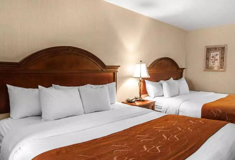 Отель Comfort Suites