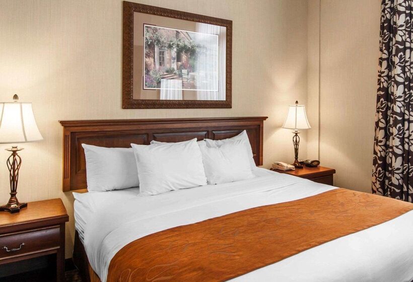 فندق Comfort Suites