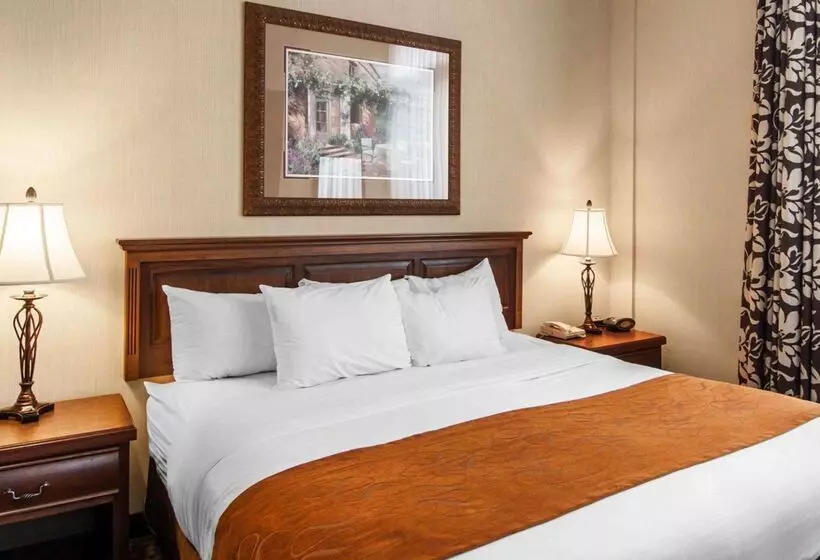 Отель Comfort Suites