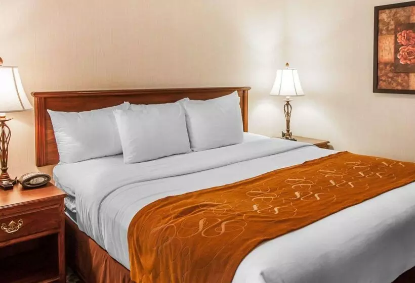 Отель Comfort Suites