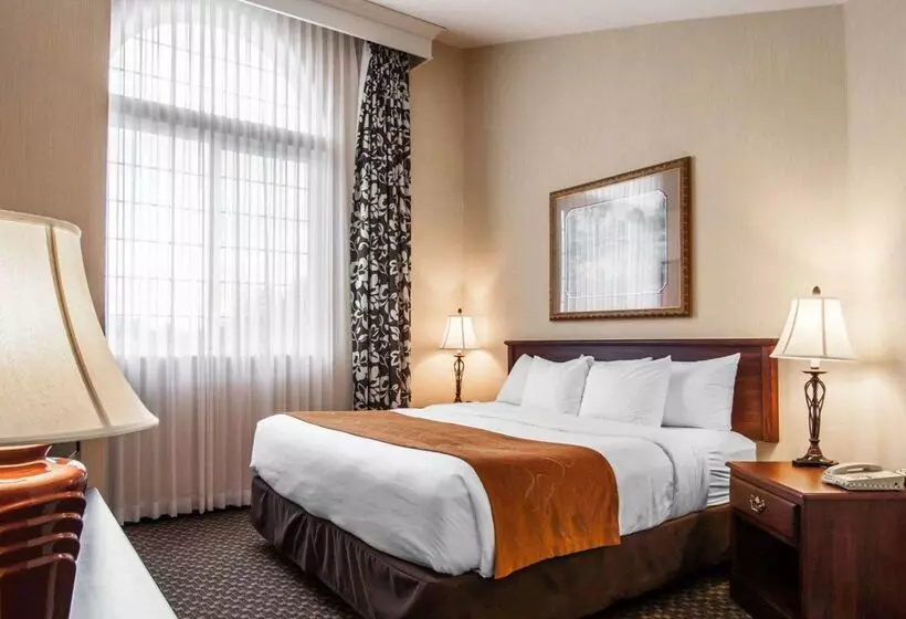 Отель Comfort Suites