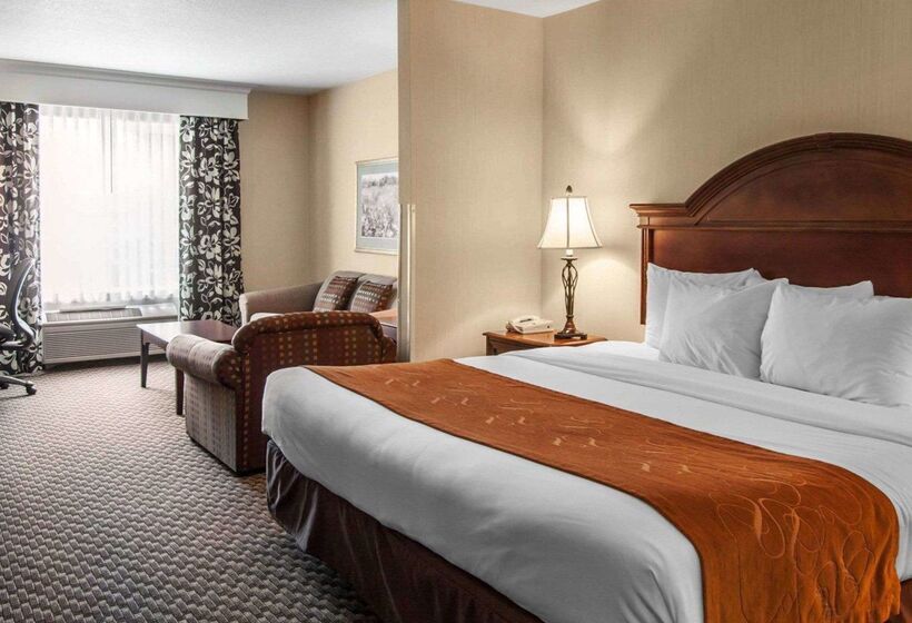 فندق Comfort Suites