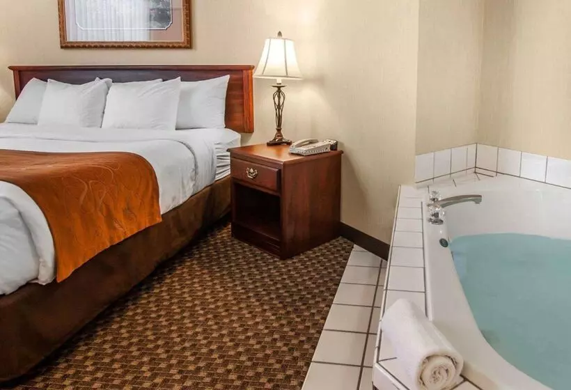 Отель Comfort Suites