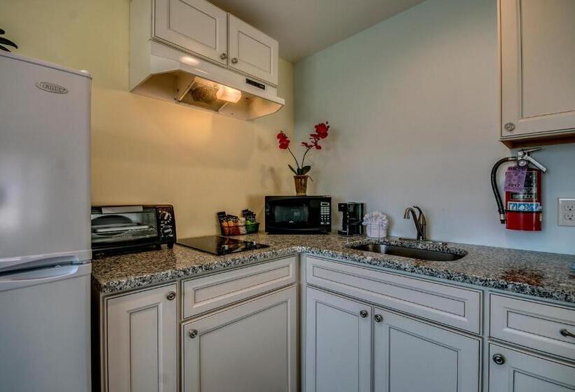 فندق Daytona Inn And Suites