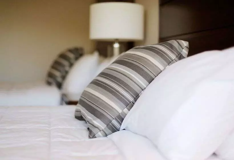 호텔 Royal Amsterdam