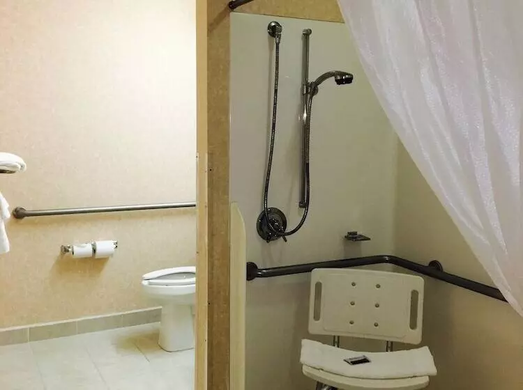 Microtel Inn & Suites By Wyndham Syracuse Baldwinsville