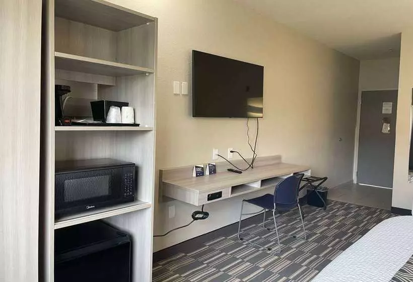 Microtel Inn & Suites By Wyndham Bossier City