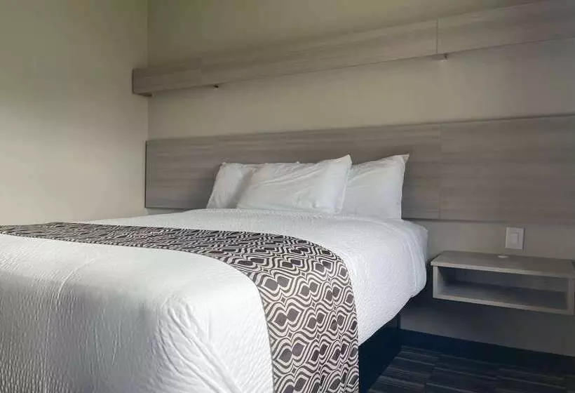 Microtel Inn & Suites By Wyndham Bossier City