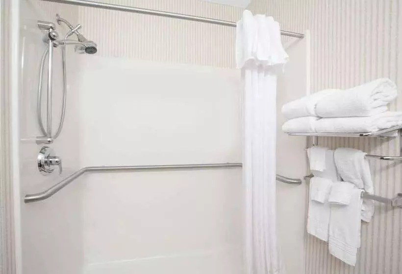 Microtel Inn & Suites Springville