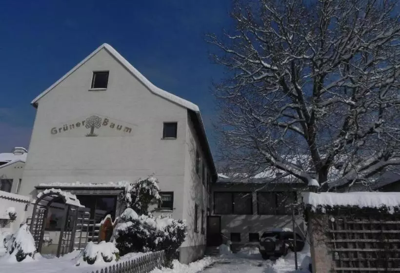Retkeilymaja Gasthof Grüner Baum