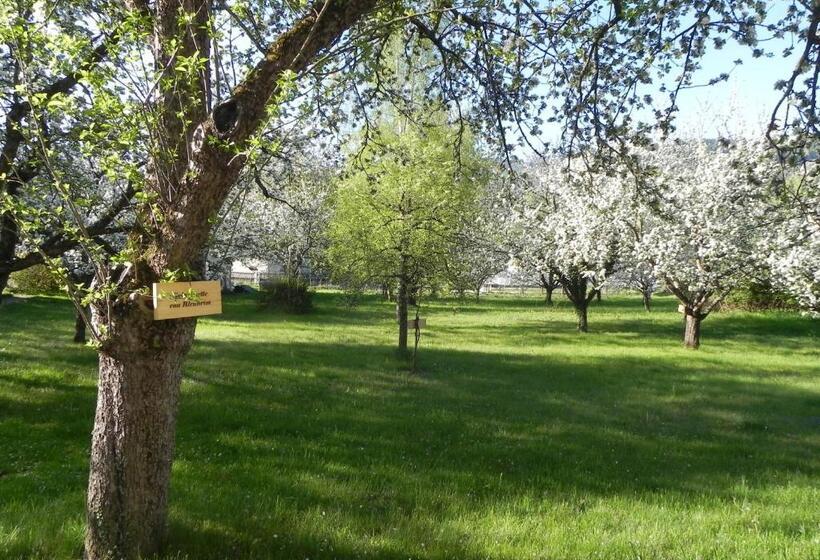 Hostel Gasthof Grüner Baum