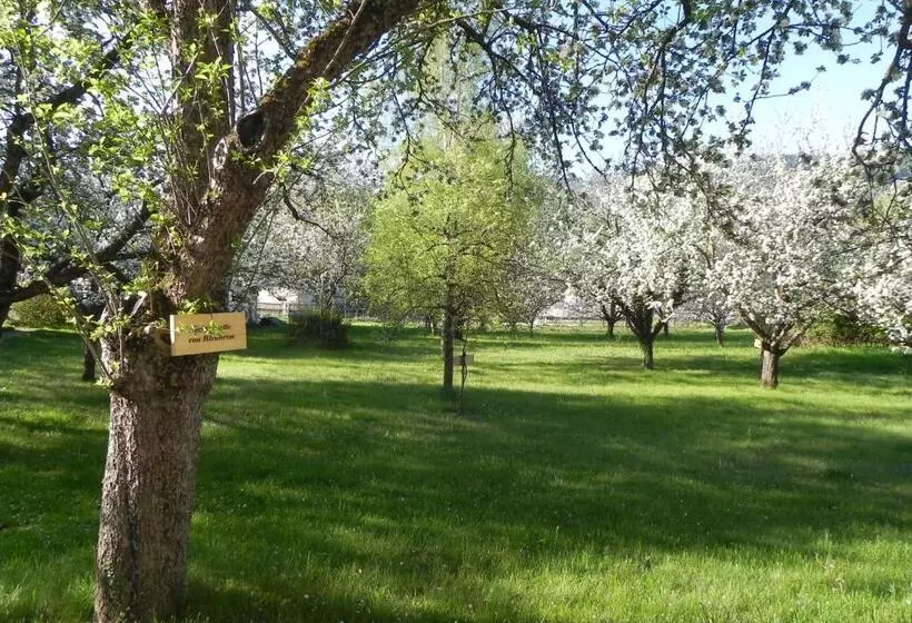 Retkeilymaja Gasthof Grüner Baum