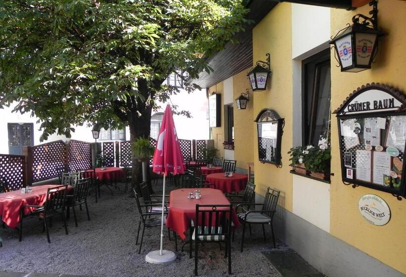 旅馆 Gasthof Grüner Baum