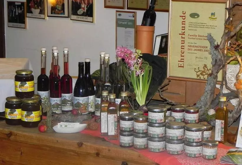 Retkeilymaja Gasthof Grüner Baum