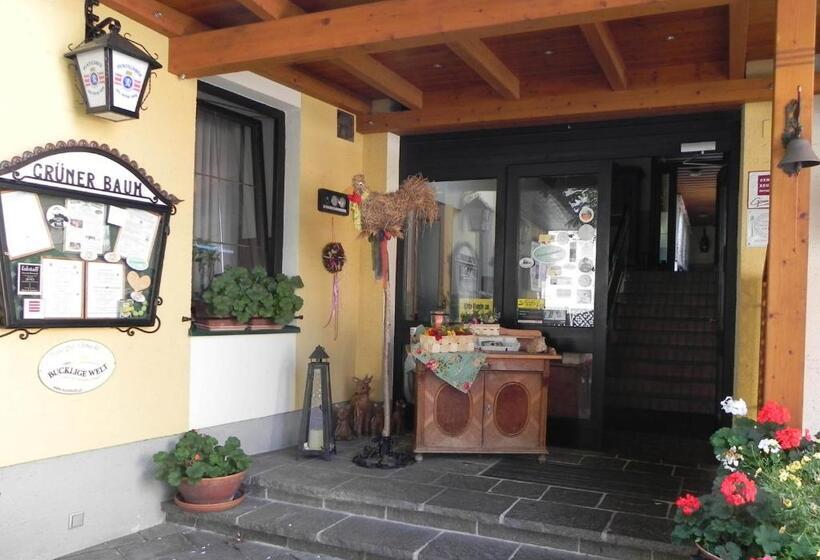 הוסטל Gasthof Grüner Baum