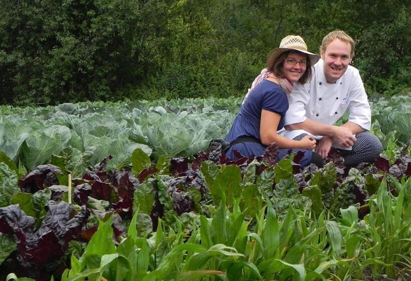 הוסטל Gasthof Grüner Baum