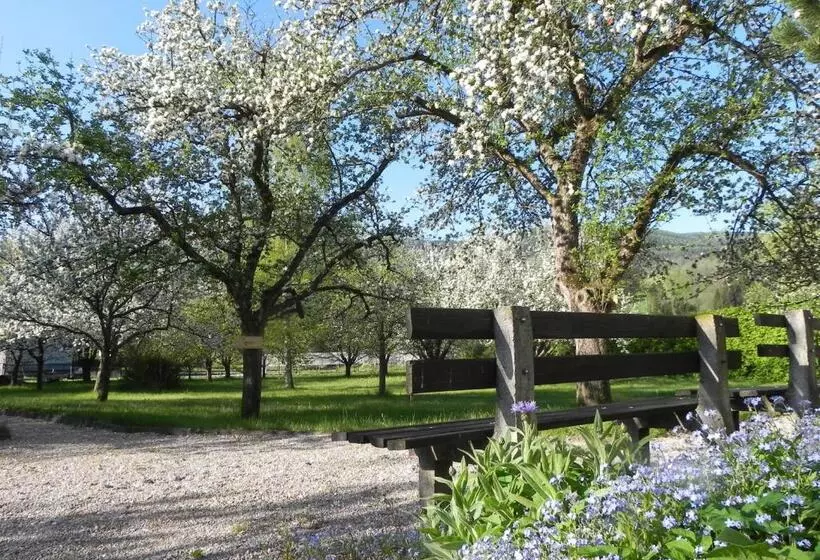 Retkeilymaja Gasthof Grüner Baum