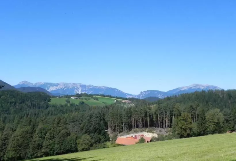 Retkeilymaja Gasthof Grüner Baum