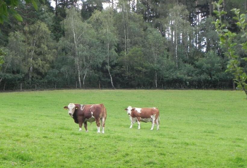 הוסטל Gasthof Grüner Baum
