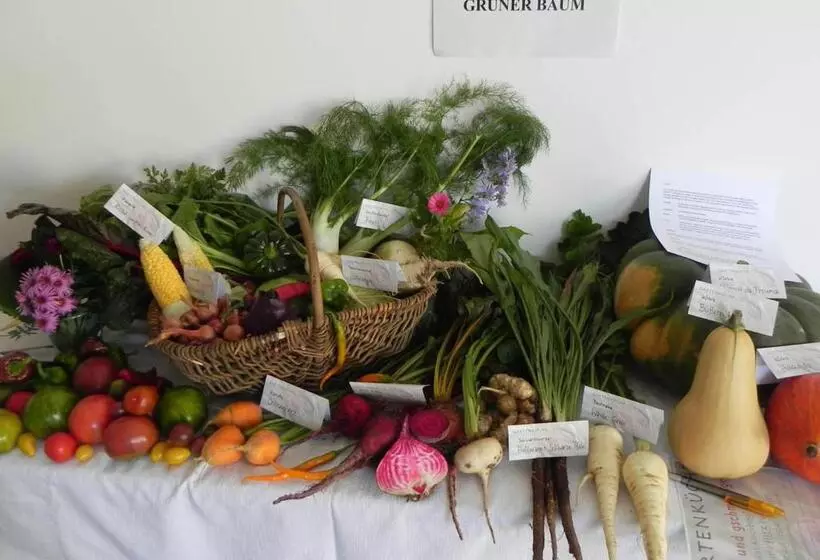 Retkeilymaja Gasthof Grüner Baum