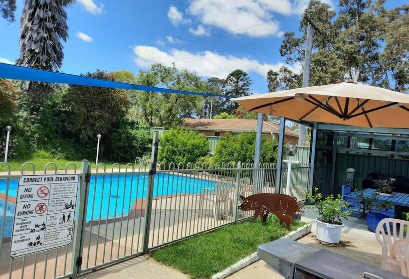 汽车旅馆 Bega Southtown Motor Inn