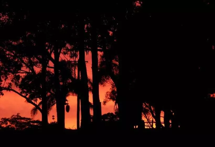 モーテル Bega Southtown Motor Inn