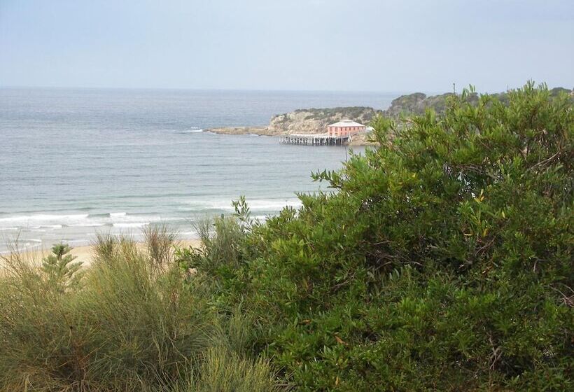 فندق على الطريق Bega Southtown Motor Inn