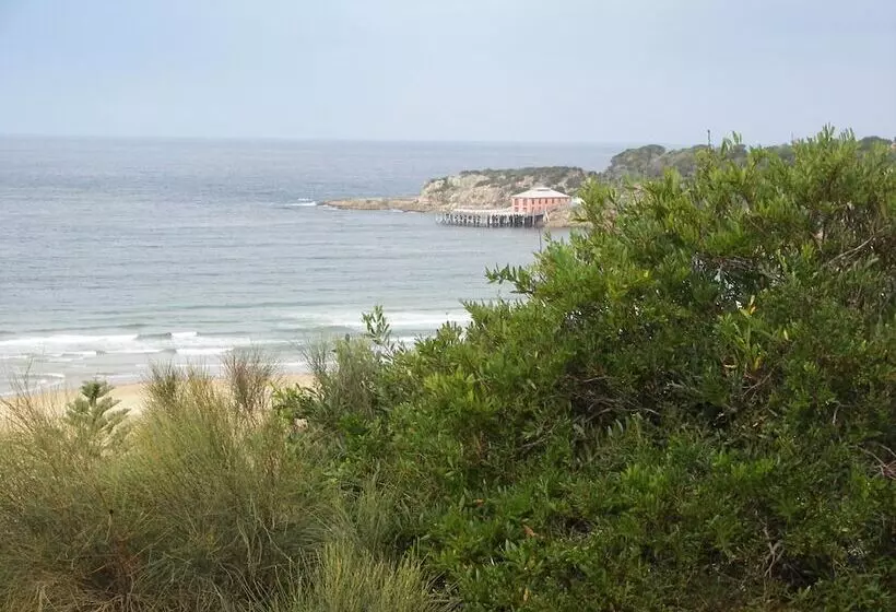 モーテル Bega Southtown Motor Inn