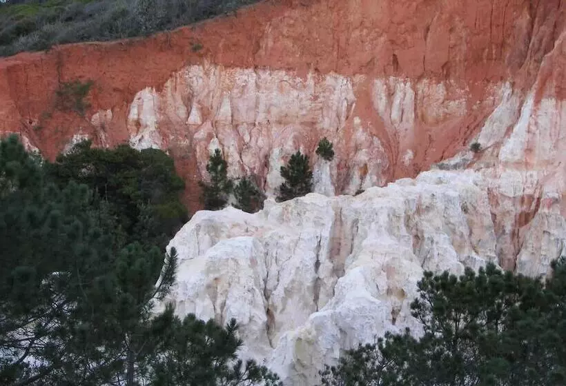 モーテル Bega Southtown Motor Inn