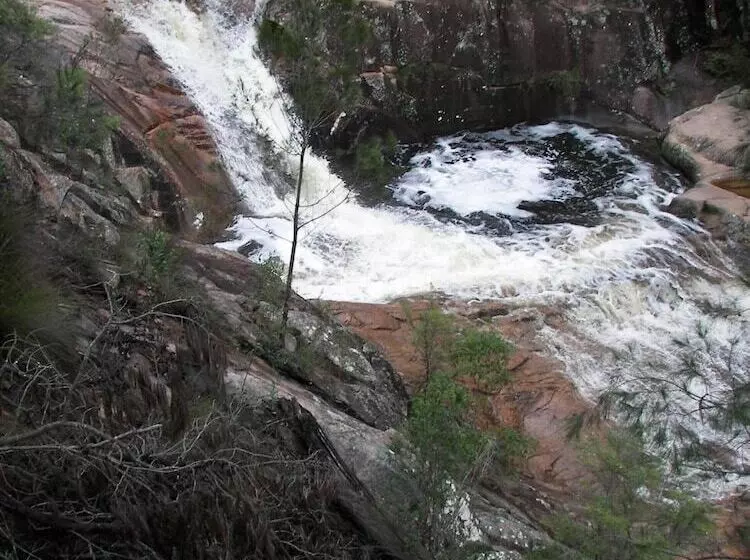 モーテル Bega Southtown Motor Inn