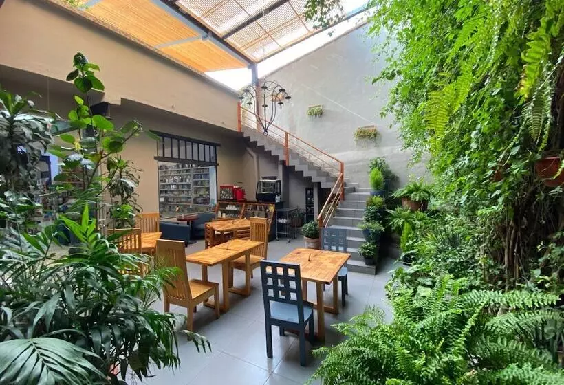 Arawi Hotel Boutique