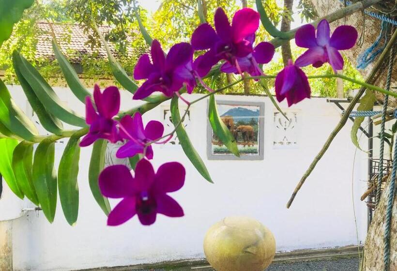 פנסיון Summer House Mirissa