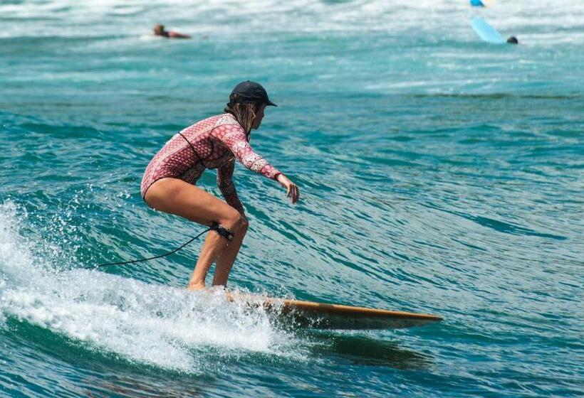 הוסטל Bunk 15 Hiriketiya