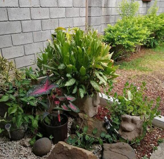 تختخواب و صبحانه Hostal Casa Azul