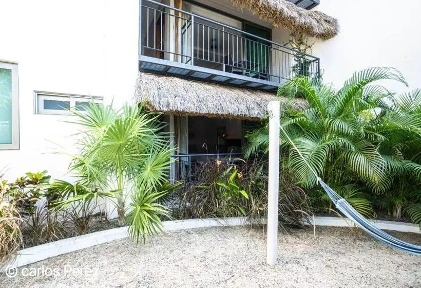ホテル Puerto Sayulita