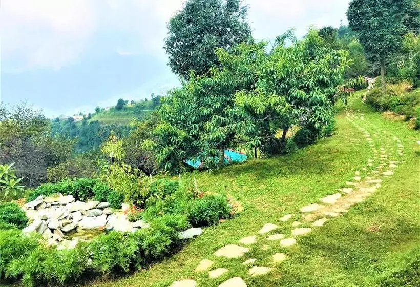 Kings Paradise Resort Kanatal