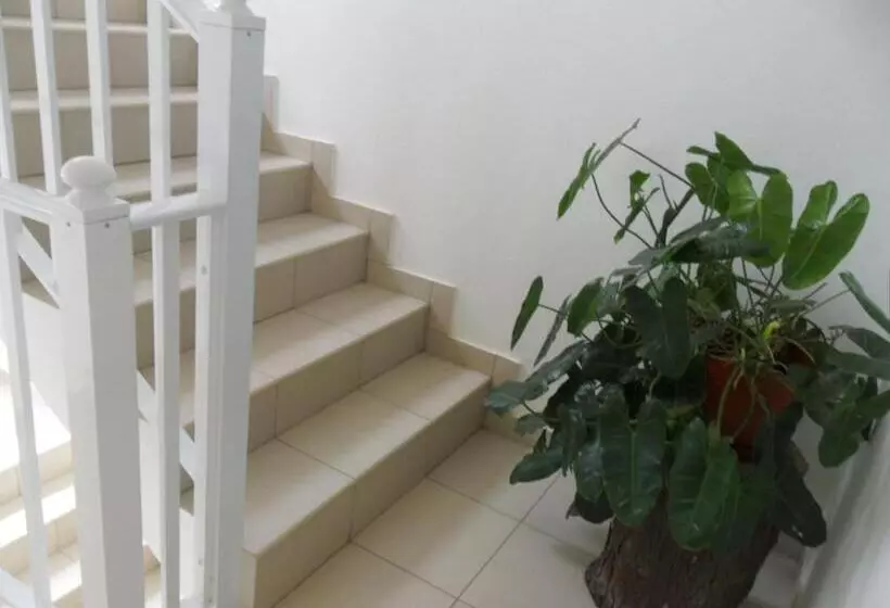 پانسیون Casa Celeste