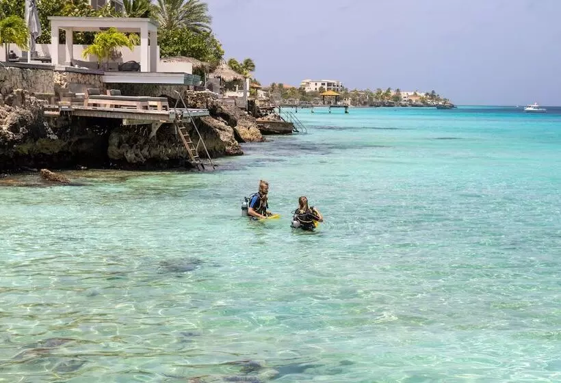 استراحتگاه Grand Windsock Bonaire