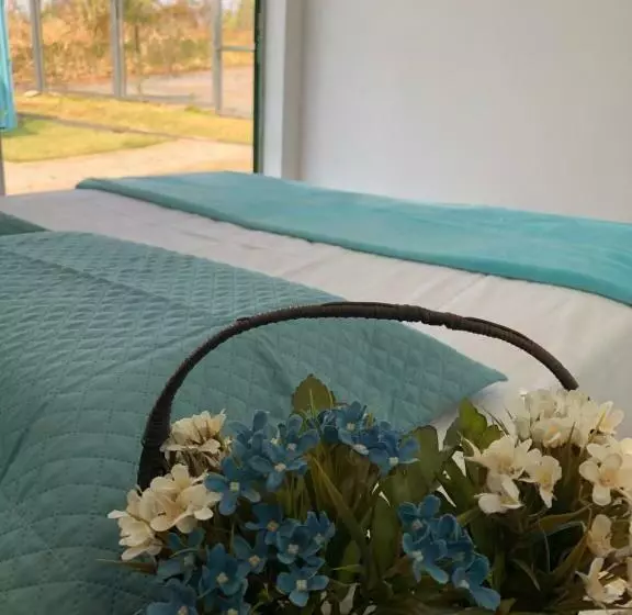 ユースホステル Mandala House Container