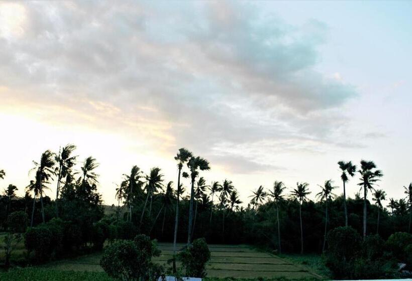 ペンション Adore Guesthouse