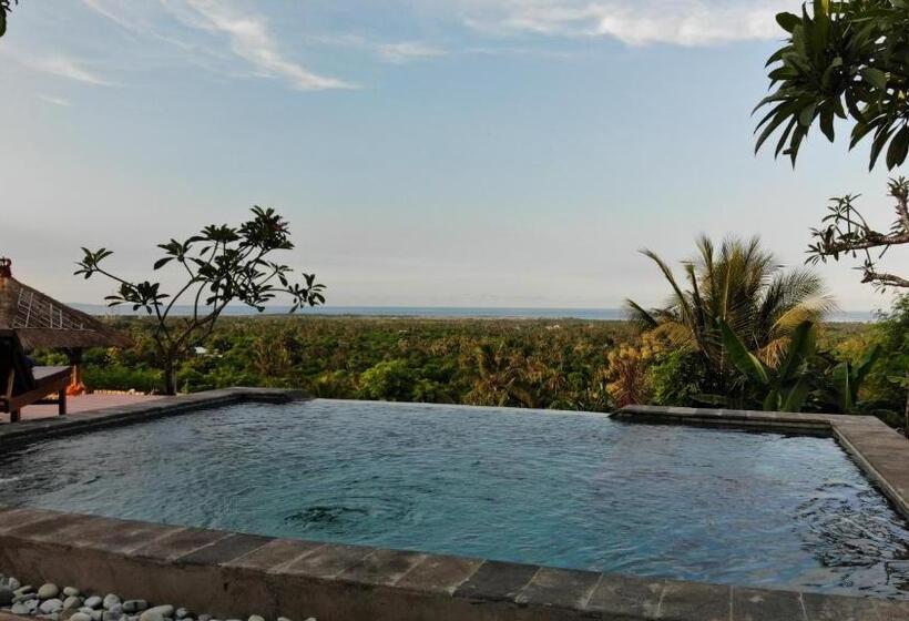 ホテル Menjangan Hill