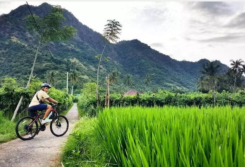 Hotelli Menjangan Hill