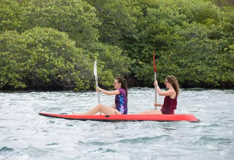 Hotelli Menjangan Hill