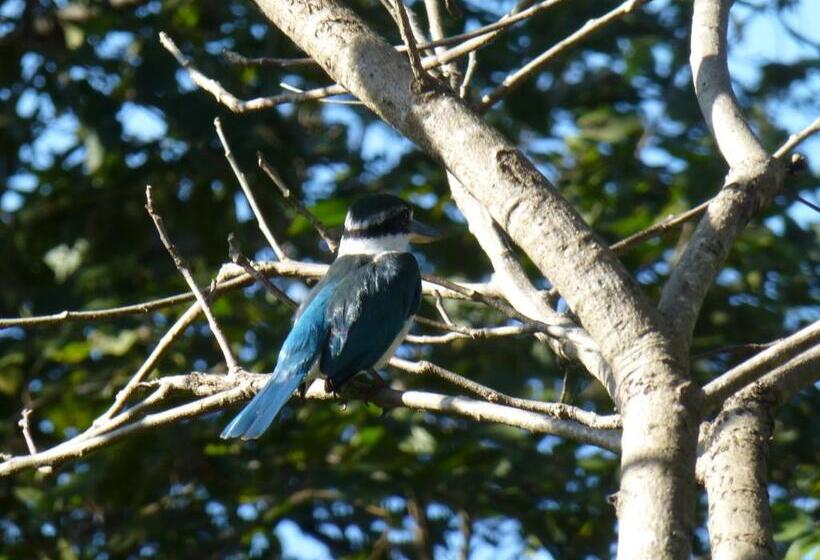 ホテル Menjangan Hill