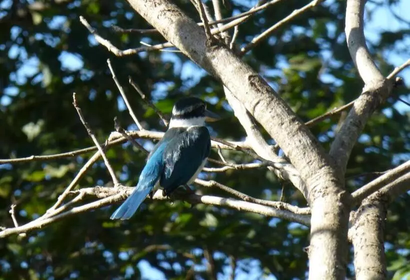 Hotelli Menjangan Hill