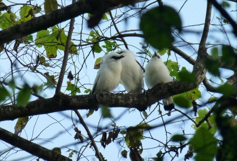 ホテル Menjangan Hill