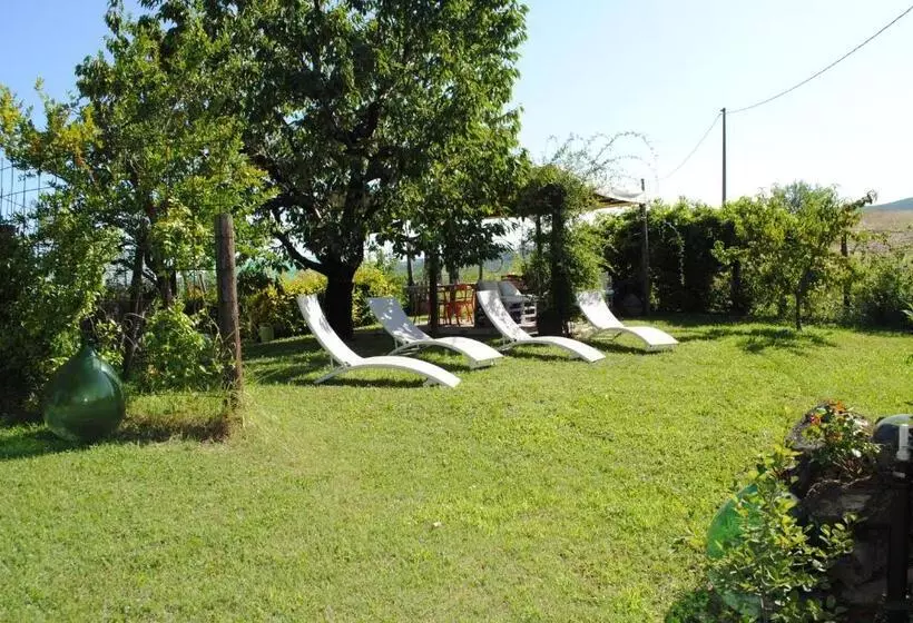 ホテル Casa Arcobaleno Apartments Room Holiday Home